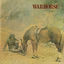 Cover Warhorse