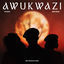 Cover Awukwazi (feat. Dlala Thukzin)