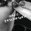 Cover Nazis erschiessen