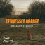Cover Tennessee Orange (Breakup Version)