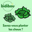 Cover Savez-vous planter les choux ?