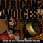 Cover African Voices Anthology