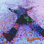 Cover grayground.