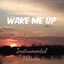 Cover Wake Me Up