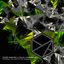 Cover Scorpion (The Ghetto) [The Remixes]