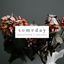 Cover Someday