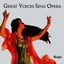 Cover Great Voices Sing Opera