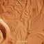 Cover Life on Mars