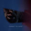 Cover FORGET TO LOVE