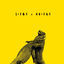 Cover Liebe > Kriege