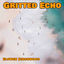 Cover Gritted Echo