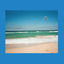 Cover Der Urlaub hat nicht stattgefunden