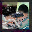 Cover SonobashinogiEP
