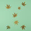 Cover Untitled