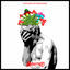 Cover HOPIUMFORTHEMASSES