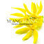 Cover Ylang ylang: Thérapie relaxante asiatique, Spa, yoga, pleine conscience