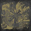 Cover Bears, Mayors, Scraps, & Bones (Remastered) [10 Year Anniversary Editio]