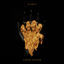 Cover ICARUS