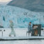 Cover A Rock Somewhere / The Seed (For Greenpeace)