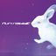 Cover Run Rabbit