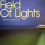 Cover Field Of Lights