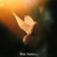 Cover Witte Duiven