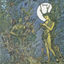 Cover Forest