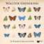 Cover Walter Gieseking's Piano Collection