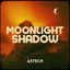 Cover Moonlight Shadow (Techno Version)