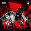 Cover TEMELI 2