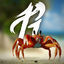 Cover Crab Rave