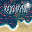Cover Kadshaynu
