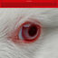 Cover Turboviolencia
