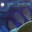 Cover Under the Wonder Sky
