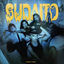 Cover SUDAITO