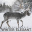 Cover Winter Elegant