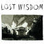 Cover Lost Wisdom