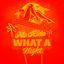 Cover What A Night (Up All Night In Vegas)