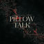 Cover Pillow Talk