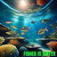 Cover Fishes in Water