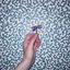 Cover One, Violet