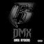 Cover DMX Ryders
