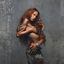 Cover Bonjour (Deluxe)