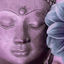 Cover Buddha's Lounge