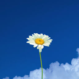 ''