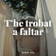 Cover T'he Trobat a Faltar
