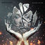 Cover Ghost Inside The Shell