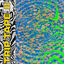 Cover Trip Tape II