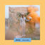 Cover L'Hiver Indien (Radio Edit)