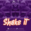 Cover SHAKE IT (Moombathon mixtape 2025)